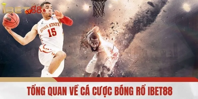 Tổng Quan Về Cá Cược Bóng Rổ iBet88