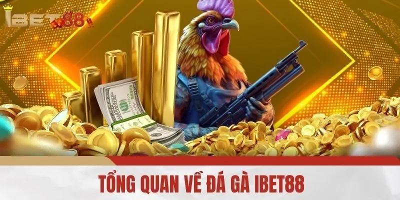 Tổng Quan Về Đá Gà iBet88