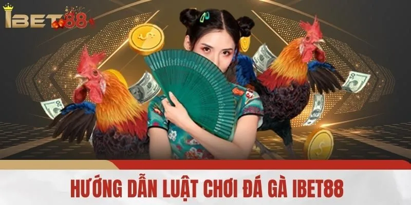 Hướng Dẫn Luật Chơi Đá Gà iBet88