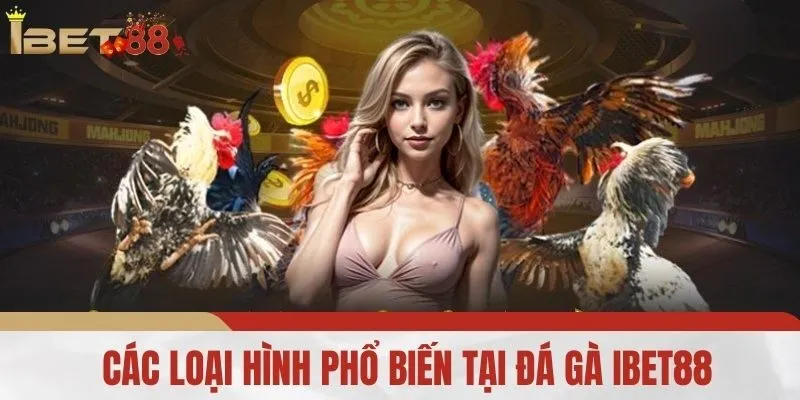 Các Loại Hình Phổ Biến Tại Đá Gà iBet88
