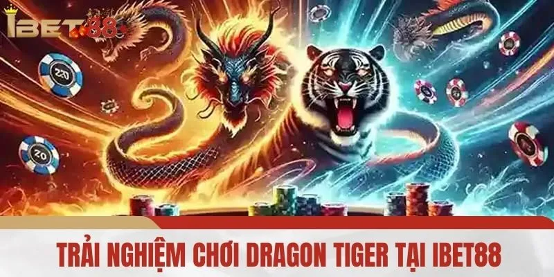 Trải Nghiệm Chơi Dragon Tiger Tại IBET88