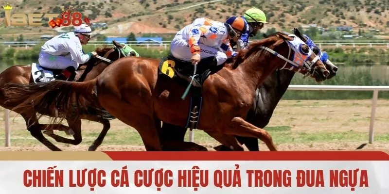 Chiến lược cá cược hiệu quả trong đua ngựa