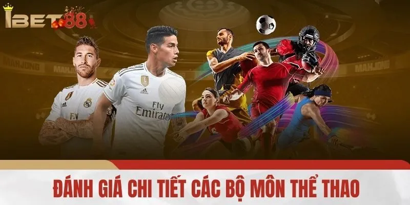 Đánh Giá Chi Tiết Các Bộ Môn Thể Thao