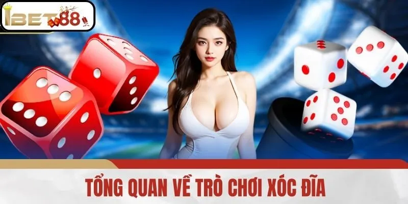 Tổng Quan Về Trò Chơi Xóc Đĩa